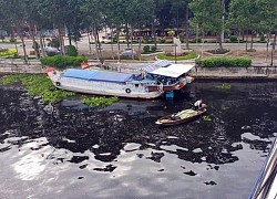 Giao thông đường thuỷ 'chết lâm sàng'