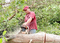 Khởi công xây dựng đường cao tốc Phan Thiết - Dầu Giây: Khơi thông động lực phát triển