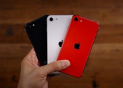 Lộ ảnh được cho là iPhone 12 Pro Max có một chi tiết khiến nhiều người thất vọng