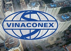 Lộ diện các "tay to" đã thoái vốn tại Vinaconex, mọi đồn đoán được sáng tỏ