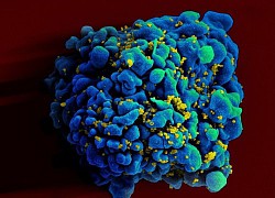 Những người tự 'giam giữ' virus HIV