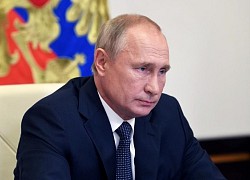 Putin: Chưa cần triển khai lực lượng Nga ở Belarus