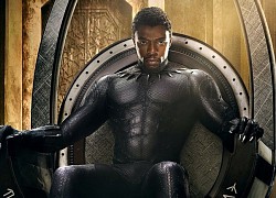 'Báo Đen' Chadwick Boseman có thể được dựng tượng ở quê nhà