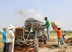 Đồng Tháp: Nông dân chỉ học đến lớp 2 sáng chế máy tuốt hạt mè bán ra cả nước ngoài, thu tiền tỷ