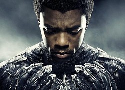 Fan không muốn Marvel thay diễn viên đóng Black Panther