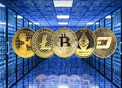 Giá Bitcoin hôm nay 1/9: Bitcoin kéo loạt tiền mã hóa chìm trong &#8216;biển lửa&#8217;