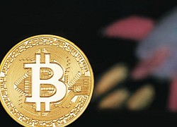 Giá bitcoin hôm nay 1/9: Quay đầu giảm nhẹ, hiện ở mức 11.638,24 USD