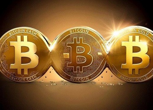 Giá Bitcoin hôm nay 2/9: Bitcoin nổi sóng, tiền ảo đua tăng cùng vàng