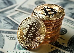 Giá bitcoin hôm nay 2/9: Quay đầu tăng mạnh, hiện ở mức 11.903,35 USD