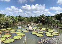 Lênh đênh trên sông Hậu