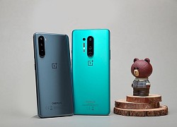 OnePlus trở lại Việt Nam