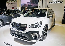 Subaru Forester giảm giá đến 255 triệu đồng