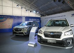 Subaru Việt Nam ưu đãi "khủng" cho Forester