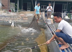 Trai Mường nuôi cá đặc sản ở hồ Thung Nai, nhiều con trắm đen dài cả mét lượn lờ như &#8220;tàu ngầm&#8221;