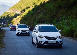 'VinFast ưu tiên trở thành hãng xe hàng đầu tại Việt Nam'