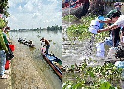 Vu Lan, người Sài Gòn ngao ngán nhìn cá vừa phóng sinh bị chích điện, bắt lại