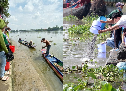 Vu Lan, người Sài Gòn ngao ngán nhìn cá vừa phóng sinh bị chích điện, bắt lại