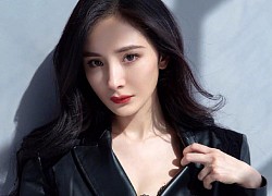 Weibo náo loạn vì Chương Tử Di khen ngợi Angelababy, Dương Mịch cũng có động thái nhảy vào cuộc