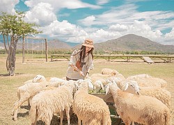 7 điểm ăn chơi ở Cam Ranh