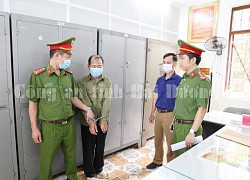 Bắt kẻ lừa 'chạy' chế độ chính sách, chiếm đoạt hàng tỷ đồng