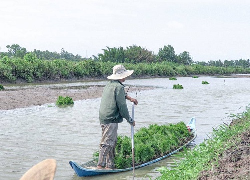 Bộ ảnh cùng ba mẹ làm nông của member Việt Nam Ơi: Vất vả nhưng tự hào