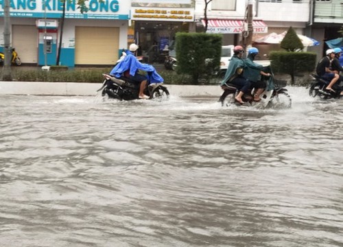 Cà Mau ngập lụt do mưa lớn kéo dài gây thiệt hại hàng tỷ đồng