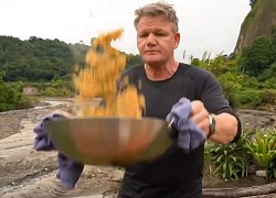 Gordon Ramsay được khen rang cơm nguội 'chuẩn'