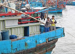 Hoàn thiện hạ tầng cảng cá và khu neo đậu tàu thuyền trước mùa mưa bão