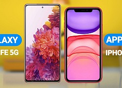 iPhone 11 vs Galaxy S20 FE: Lựa chọn nào cho bạn?