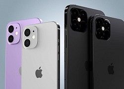 iPhone 12 mini: không có 5G, giá khởi điểm hơn 16 triệu đồng