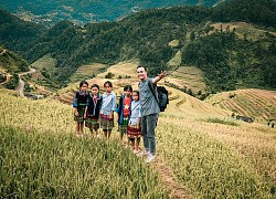 Lịch trình ngắm mùa vàng Mù Cang Chải