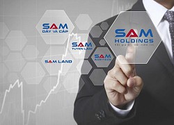 SAM Holdings dùng cổ phiếu PRT và DSP để huy động 278 tỷ đồng