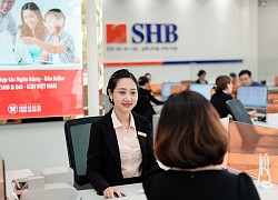 SHB thu giữ tài sản bảo đảm của An Trường An để xử lý nợ xấu