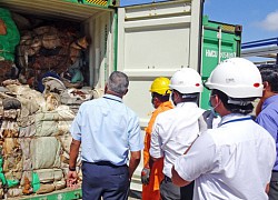 Sri Lanka trả lại Anh 21 container rác thải độc hại nhập trái phép