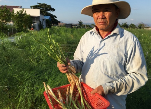 Thủ tướng Nguyễn Xuân Phúc gợi ý nông dân Ninh Thuận làm du lịch sinh thái nông nghiệp với cây măng tây xanh