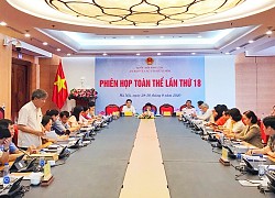 Tiếp thu ý kiến trong thực hiện Dự án Luật sửa đổi, bổ sung một số điều của Luật Công đoàn