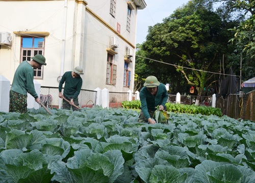 Tuổi trẻ BĐBP tỉnh: Thi đua lập thành tích chào mừng đại hội Đảng các cấp