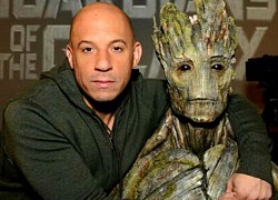 Vì sao Vin Diesel đồng ý đóng 'người cây' ở Vũ trụ Điện ảnh Marvel?