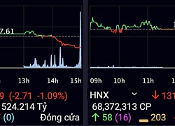 VN-Index mất gần 9 điểm nhưng thanh khoản 'khủng' gần 10.000 tỷ đồng