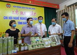 Bắc Ninh: Nông dân trồng măng tây xanh lập chi hội nghề nghiệp, quyết chơi lớn với loại "rau hoàng đế"