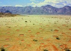 Bí ẩn 'vòng tròn thần tiên' ở Namibia