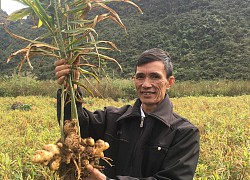 Chương trình xây dựng nông thôn mới giai đoạn 2: Đề xuất huy động hơn 2,1 triệu tỷ đồng