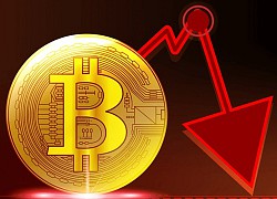 Giá bitcoin hôm nay 4/9: Giảm mạnh 10% so với 24h trước đó