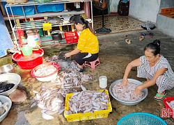 Hà Tĩnh: Độc đáo ngôi làng quanh năm tranh thủ &#8220;chớp&#8221; nắng hanh vàng, tất bật phơi mẻ cá thờn bơn tươi ngon