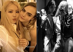 Hollywood thêm cặp bách hợp cực hot Cara Delevingne - Halsey, lộ luôn "bà mối" không ai ngờ trong BLACKPINK?