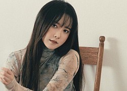 'Nàng Cỏ' Goo Hye Sun bị chỉ trích khi nói về chồng cũ