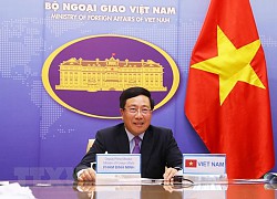 Phó Thủ tướng tham dự Hội nghị Bộ trưởng Ngoại giao trực tuyến G20