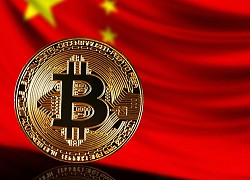 Tiền điện tử hôm nay 9/6: Bitcoin tiếp tục lao dốc, không còn là &#039;thiên đường trú ẩn&#039;?