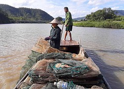 Vùng đất nông dân buông lưới, đặt lờ "rình" bắt những con cá quý hiếm mà thiên hạ tôn lên hàng cá đặc sản