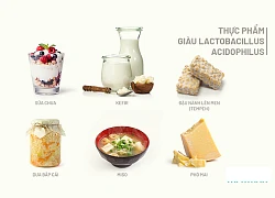 9 tác dụng không phải ai cũng biết của lợi khuẩn Lactobacillus Acidophilus